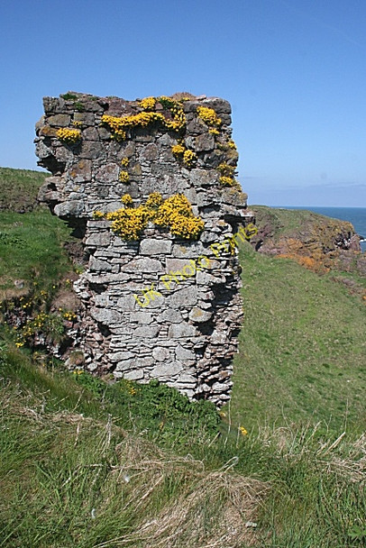 Photo 6"x4" Whistleberry Castle Kinneff c2008