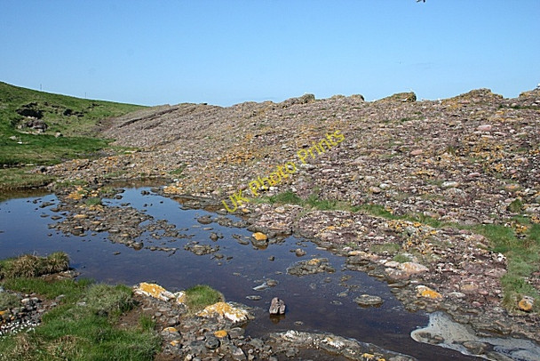 Photo 6"x4" Conglomerate at Todhead Point Catterline c2008