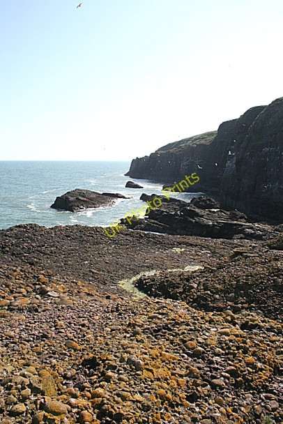 Photo 6"x4" The Slainges Catterline c2008