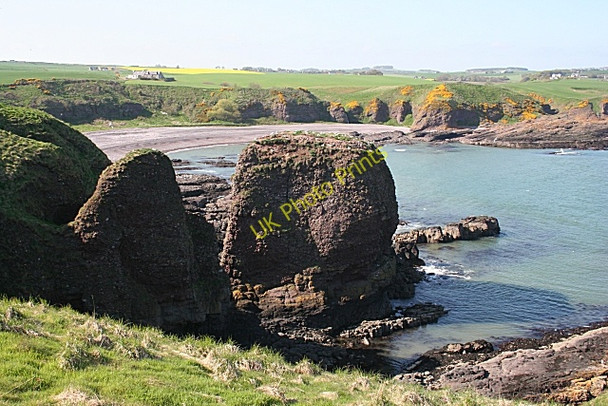 Photo 6"x4" Braidon Bay Catterline c2008