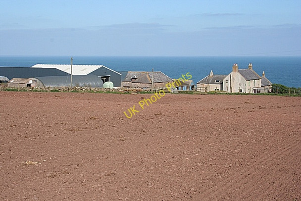 Photo 6"x4" Hallhill Farm Catterline c2008