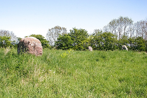 Photo 6"x4" Innesmill Stone Circle (2) Lochhill\/NJ2964 c2008