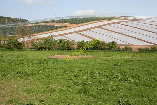 Photo 6"x4" Polythene Rules OK! Kinfauns c2008