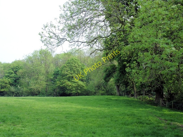 Photo 6"x4" Beeston - Pennsylvania Wood Higher Burwardsley c2008