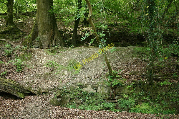 Photo 6"x4" Buckland Monachorum: old leat Grenofen c2008