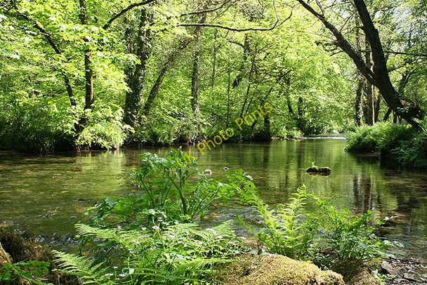 Photo 6"x4" Buckland Monachorum: river Walkham 2 Grenofen c2008