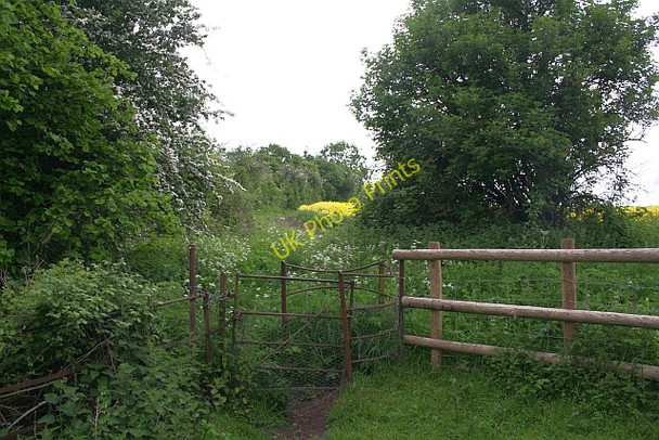 Photo 6"x4" Kissing gate near Hanley Castle Church End\/SO8341 c2008