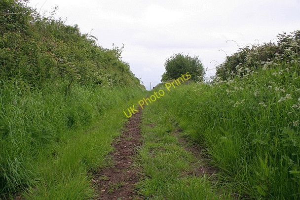 Photo 6"x4" Old road to Lodge Farm Church End\/SO8341 c2008