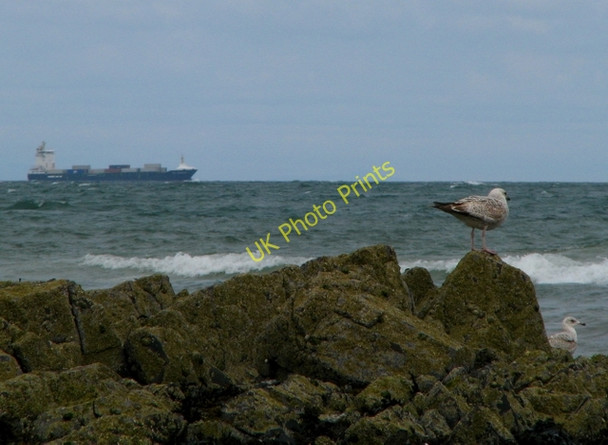 Photo 6"x4" Shore at Ballyhalbert Ballyhalbert c2008