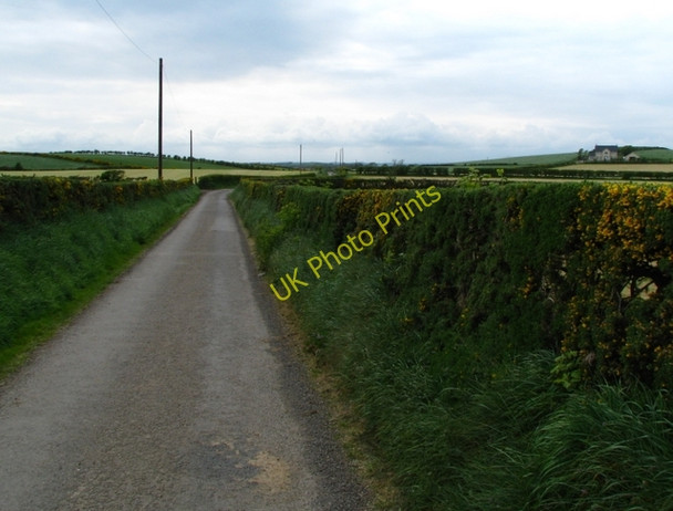 Photo 6"x4" Back Road near Ballyhalbert Ballyhalbert c2008