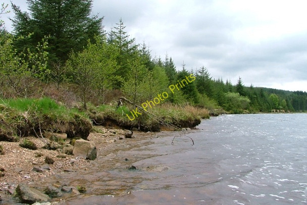Photo 6"x4" Northern Shore of Halfpenny Rigg Rushy Knowe\/NY6588 c2008