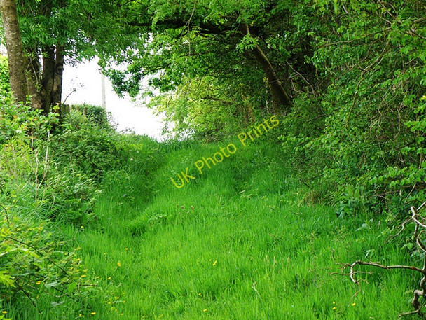 Photo 6"x4" Old Track Llandyfaelog c2008