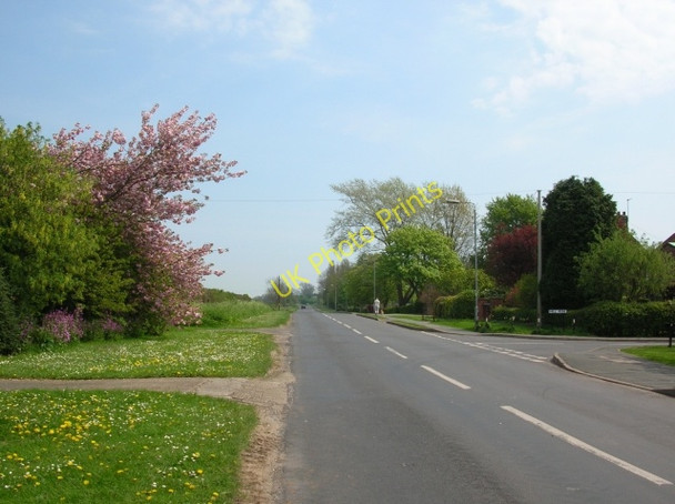 Photo 6"x4" Spring Road Goodmanham c2008