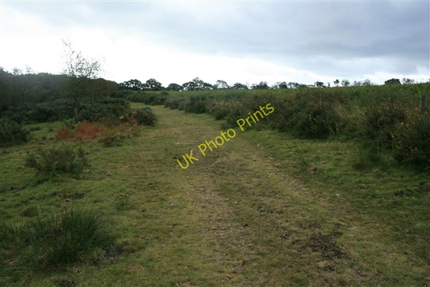 Photo 6"x4" Bridleway, Broad Down Farway c2007