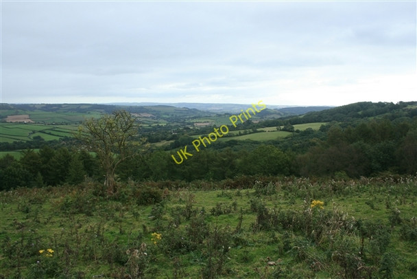 Photo 6"x4" Towards Great Pen from Ball Hill Farway c2007