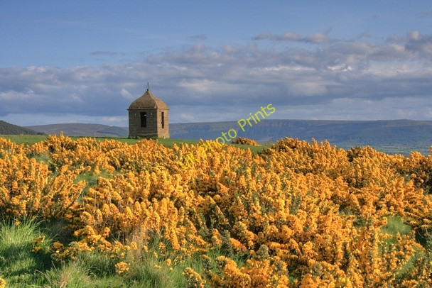 Photo 6"x4" The Summerhouse Great Ayton c2008