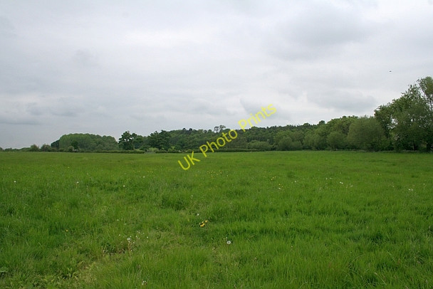 Photo 6"x4" Meadow  north of Holloway Farm Church End\/SO8341 c2008