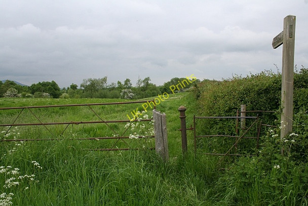 Photo 6"x4" Kissing gate into dandelion meadow Church End\/SO8341 c2008
