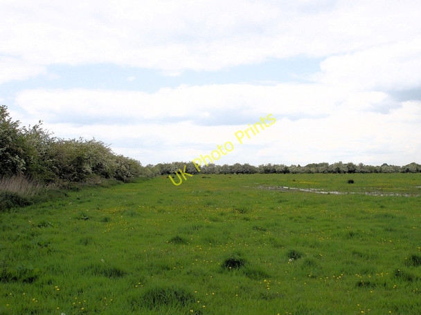 Photo 6"x4" Warmingham Moss Barrows Green\/SJ6958 c2008