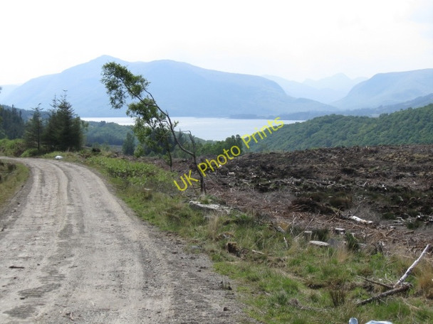 Photo 6"x4" Forest track & cleared forestry, Loch Linnhe in distance Blarmachfoldach c2008