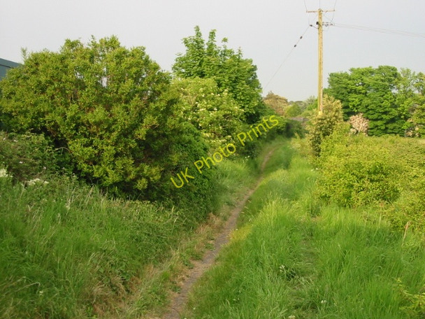 Photo 6"x4" Footpath to Lower Street Buttsole c2008