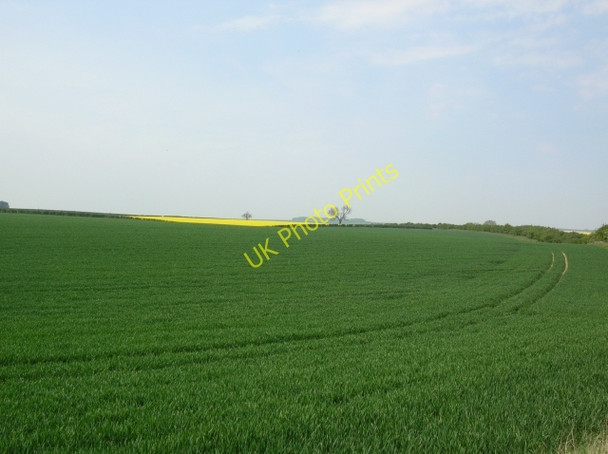 Photo 6"x4" From the track to Wold Farm Gardham c2008