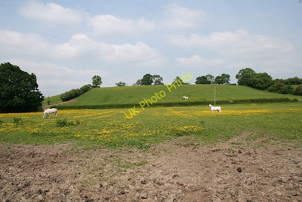 Photo 6"x4" Old ridge and furrow Birts Street c2008