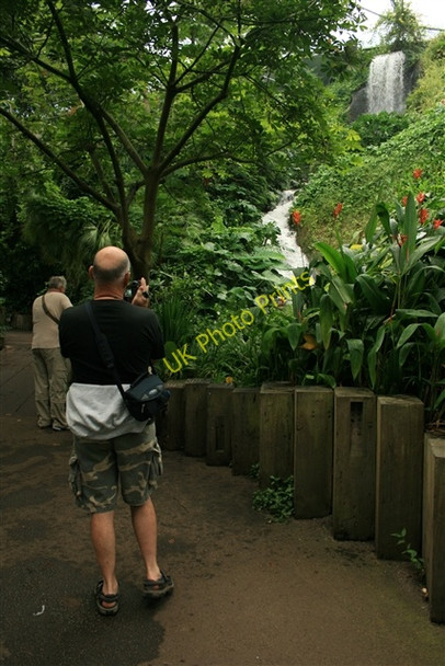 Photo 6"x4" Humid Tropics Biome, Eden Project Garker c2007