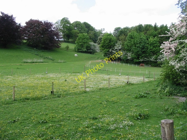 Photo 6"x4" Paddocks near Little Watersend Temple Ewell c2008