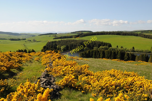 Photo 6"x4" Glenfarg Reservoir Path of Condie c2008