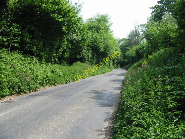 Photo 6"x4" Looking E along Swanton Lane Chalksole c2008