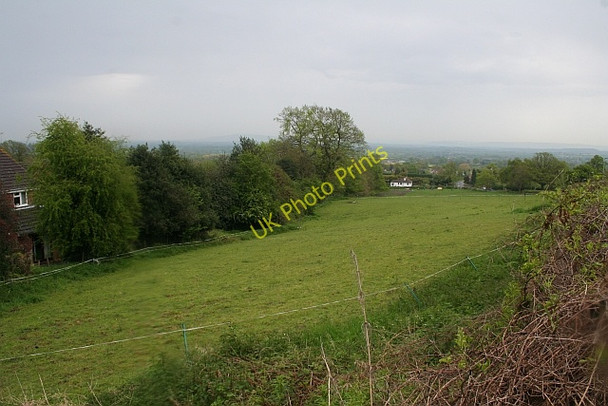 Photo 6"x4" Horse pasture Brand Green\/SO7641 c2008