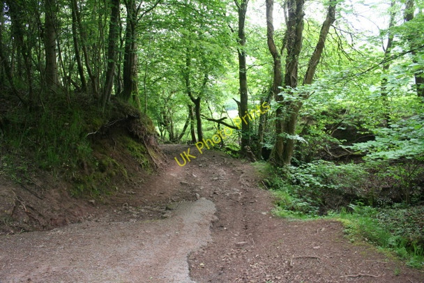 Photo 6"x4" The track to Glynmeddig Pentre'r-felin\/SN9130 c2008