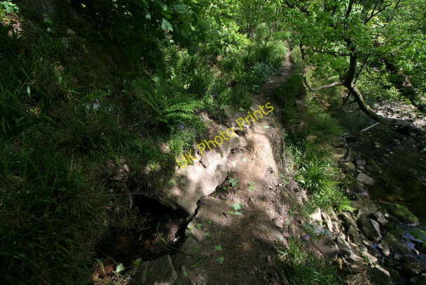 Photo 6"x4" Mill Stream, Newsholme Dean Goose Eye c2008