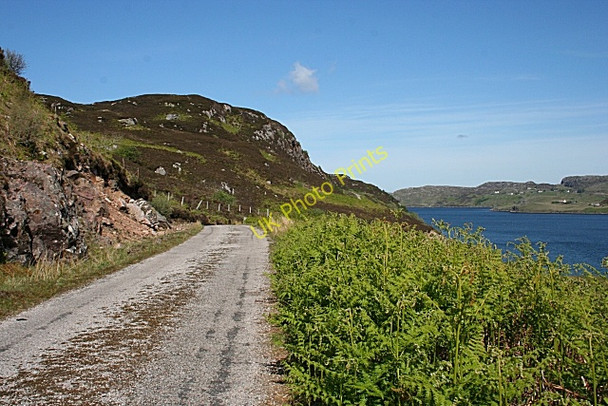 Photo 6"x4" The Road to Rhimichie Achlyness c2008