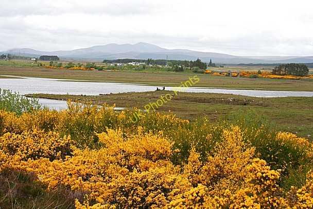 Photo 6"x4" Looking north from Drumchork Hide Tirryside c2008