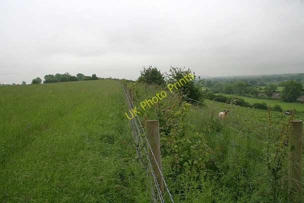 Photo 6"x4" New Hedge Birts Street c2008