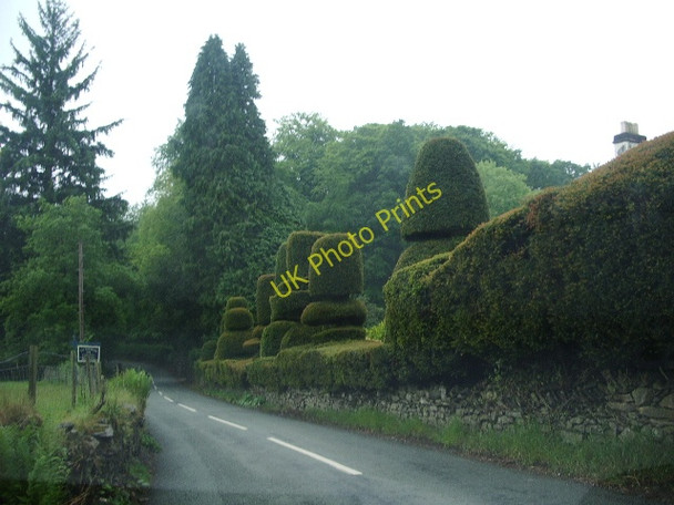 Photo 6"x4" Topiary at Low Graythwaite Hall Hartbarrow c2008