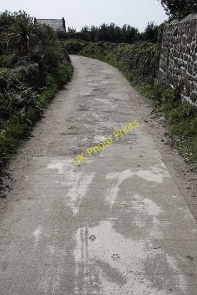 Photo 6"x4" Road by Downs Farm Hugh Town c2008