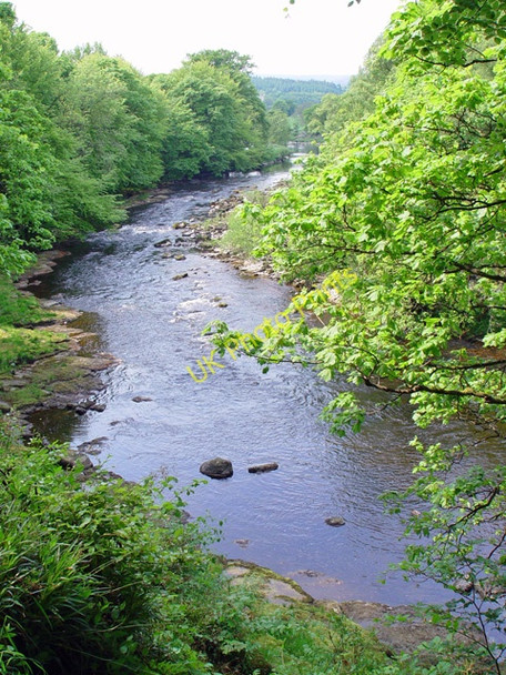 Photo 6"x4" River Wharfe above The Strid Storiths c2008