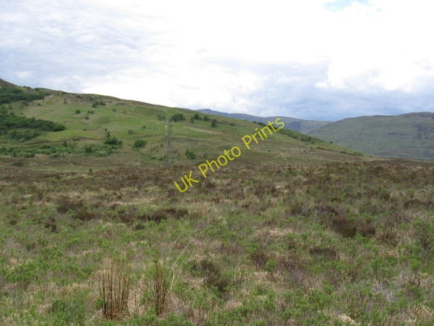 Photo 6"x4" Scrubby grazing with Pylon on 0971 Fort William\/An Gearasdan c2008