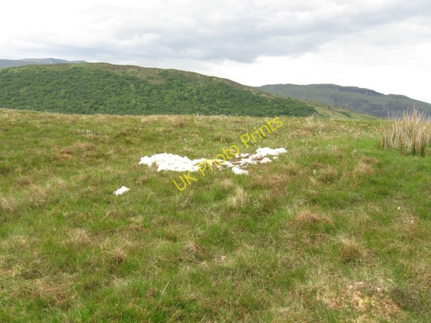Photo 6"x4" Deceased sheep - bit niffy Fort William\/An Gearasdan c2008