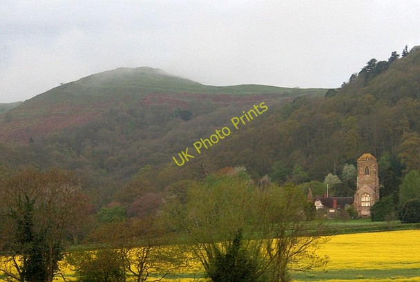Photo 6"x4" Little Malvern Priory on the first day of May Upper Welland c2008