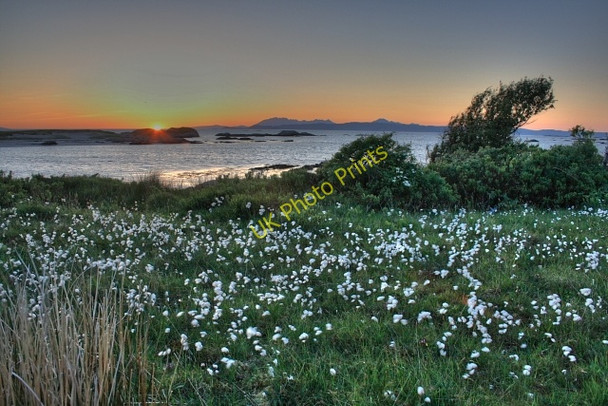 Photo 6"x4" Cottongrass and the Sound of Sleat Bunacaimb c2008