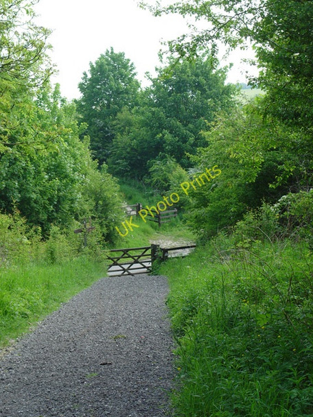 Photo 6"x4" The Hudson Way Goodmanham c2008