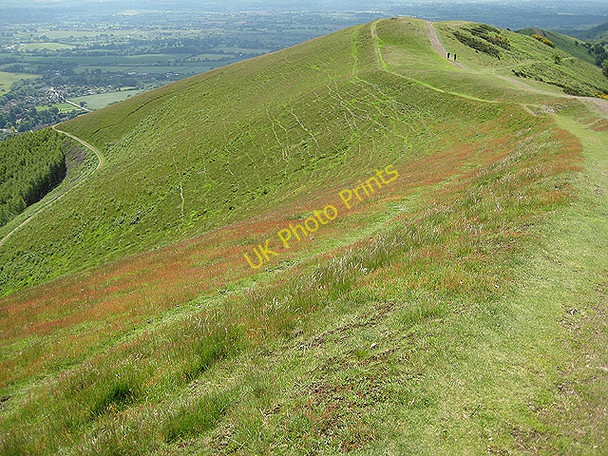 Photo 6"x4" View from Pinnacle Hill Brand Green\/SO7641 c2008