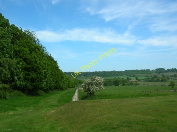 Photo 6"x4" Along Ray Wood Coneysthorpe c2008