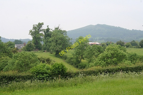 Photo 6"x4" Valley side Birts Street c2008