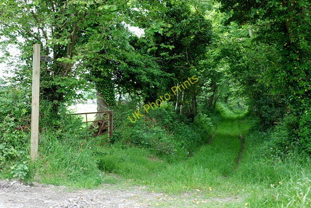 Photo 6"x4" Bridleway to Cwm-cafn Silian c2008