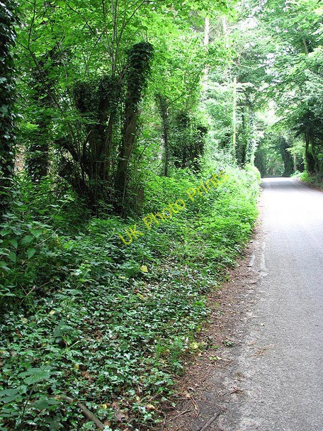 Photo 6"x4" View north along Reepham Road Guestwick c2008